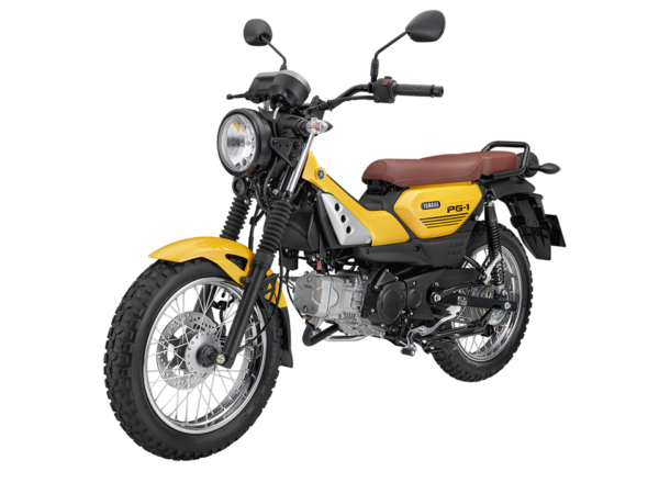YAMAHA PG-1